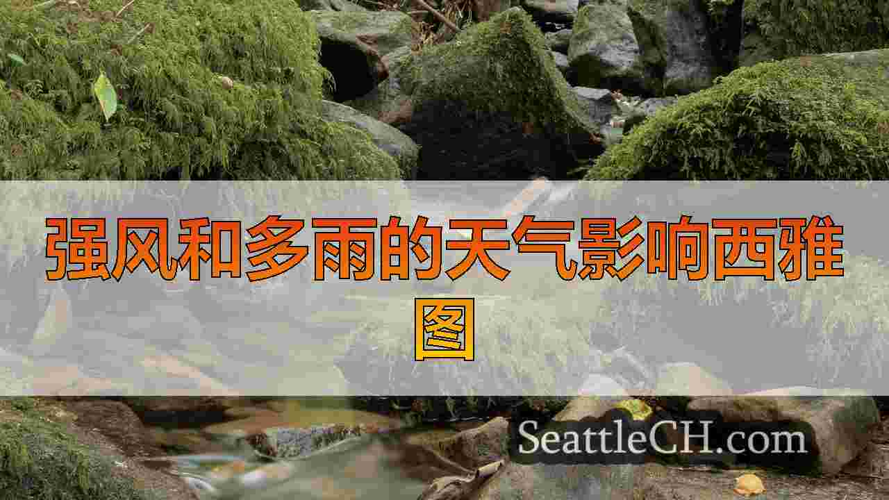 强风和多雨的天气影响西雅图