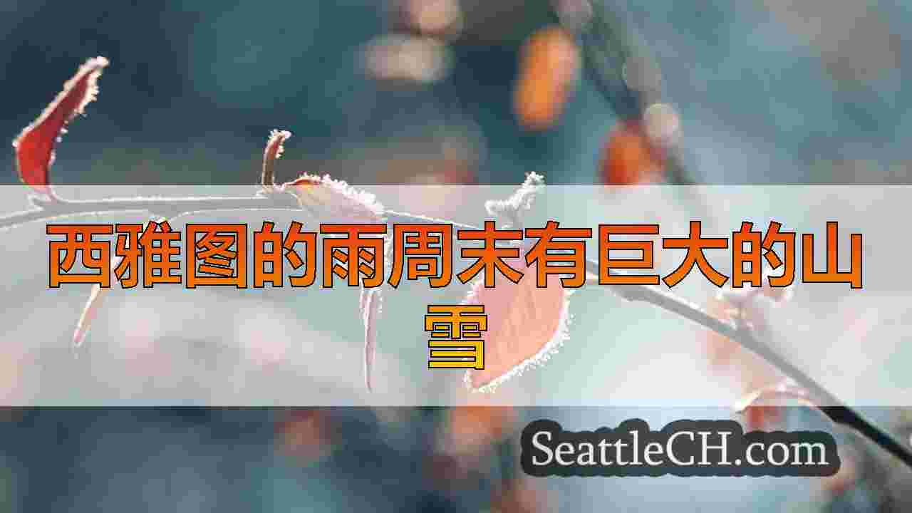 西雅图新闻 SeattleCH