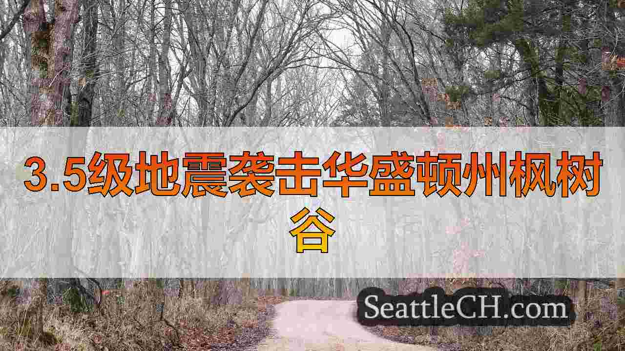西雅图新闻 SeattleCH