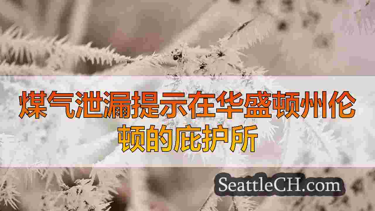 西雅图新闻 SeattleCH