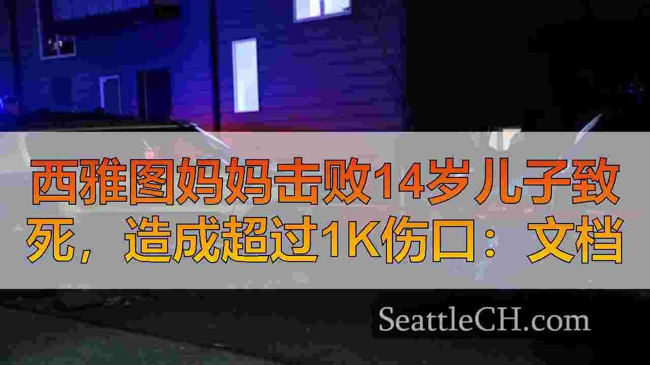 西雅图妈妈击败14岁儿子致死，造成超过1k伤口：文档
