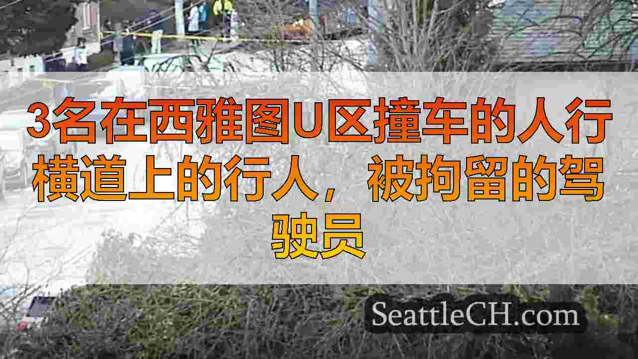 西雅图新闻 SeattleCH