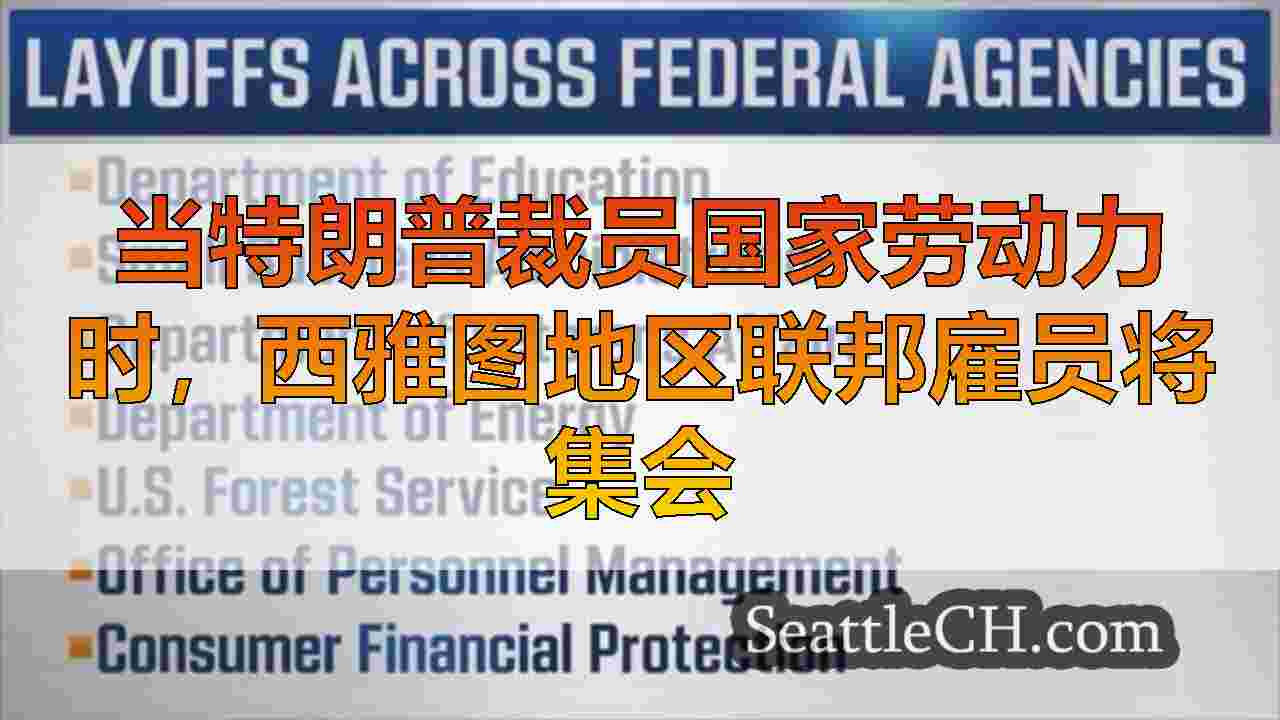 西雅图新闻 SeattleCH