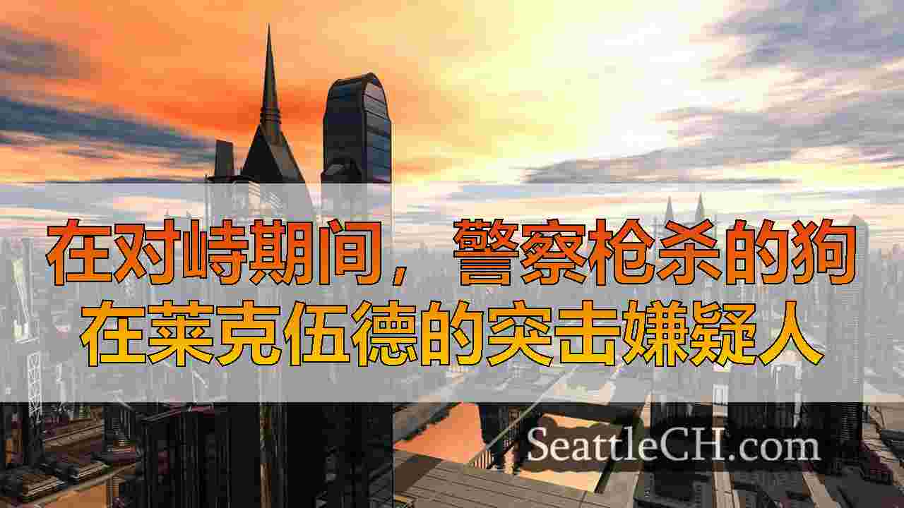 西雅图新闻 SeattleCH