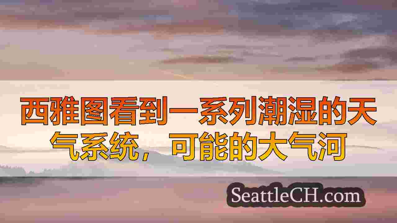 西雅图新闻 SeattleCH