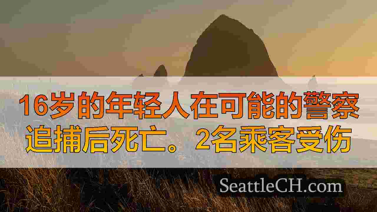 西雅图新闻 SeattleCH