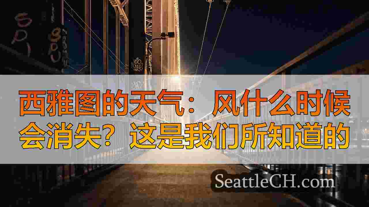 西雅图新闻 SeattleCH