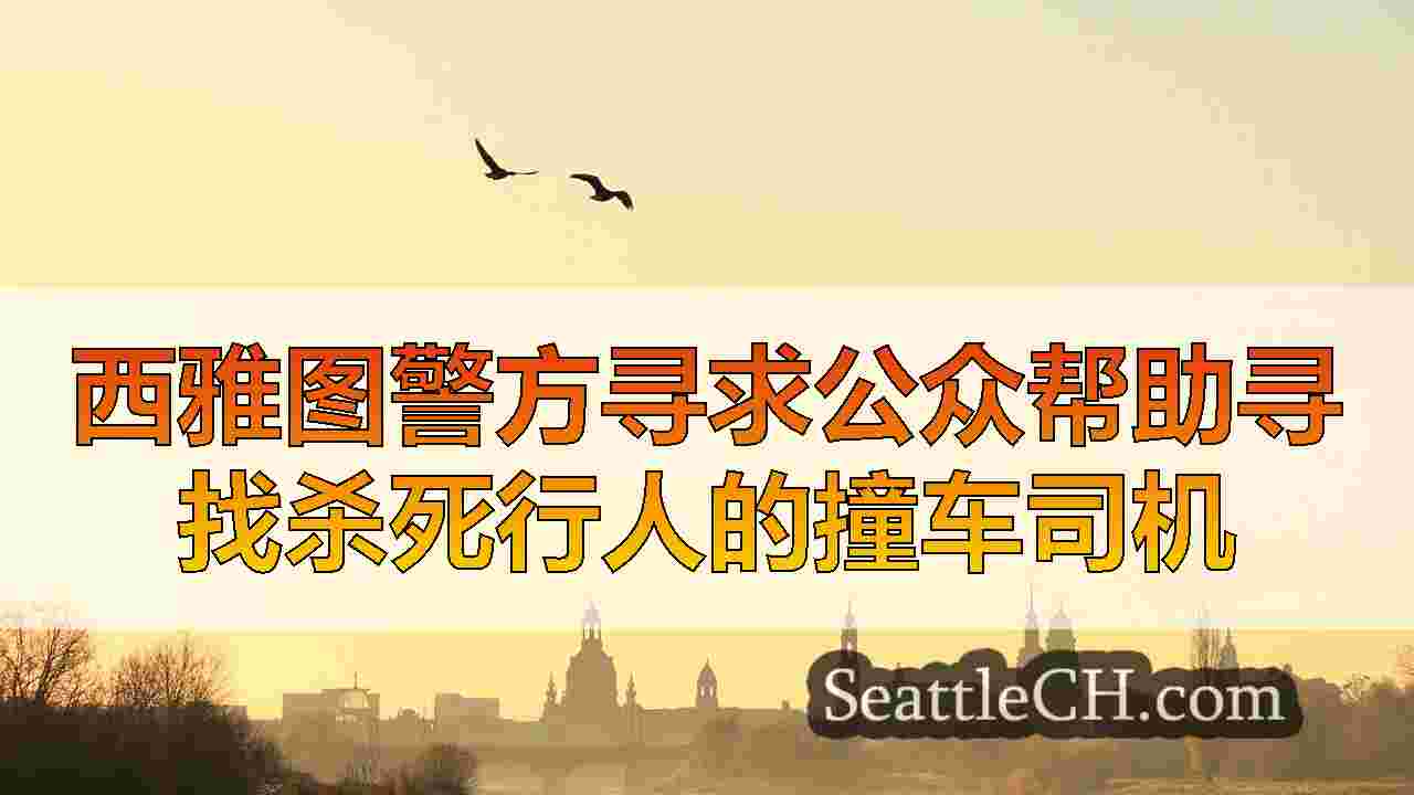 西雅图新闻 SeattleCH