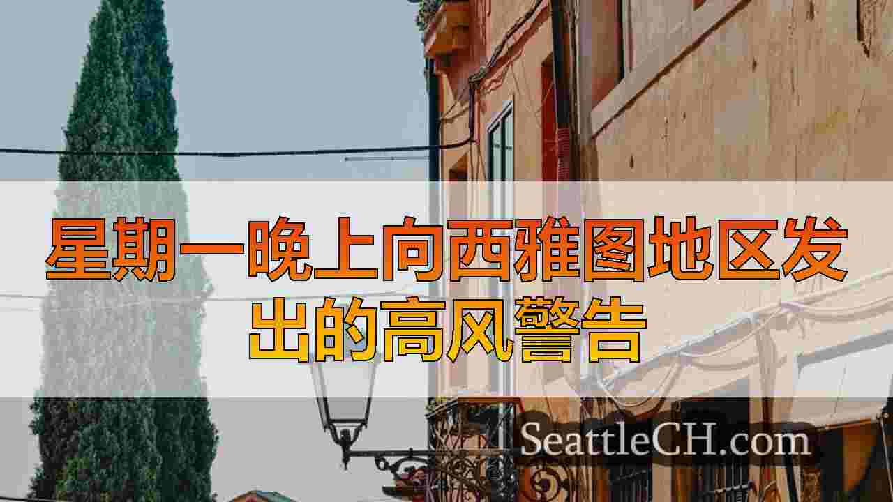 西雅图新闻 SeattleCH
