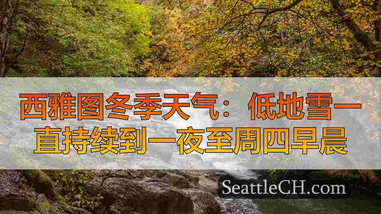 西雅图新闻 SeattleCH