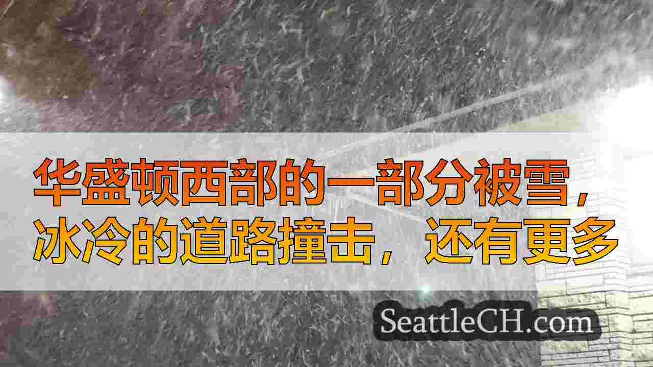 华盛顿西部的一部分被雪，冰冷的道路撞击，还有更多