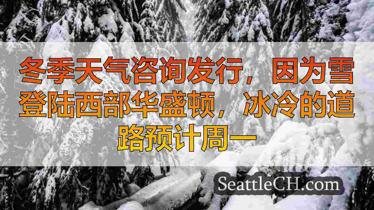 西雅图新闻 SeattleCH