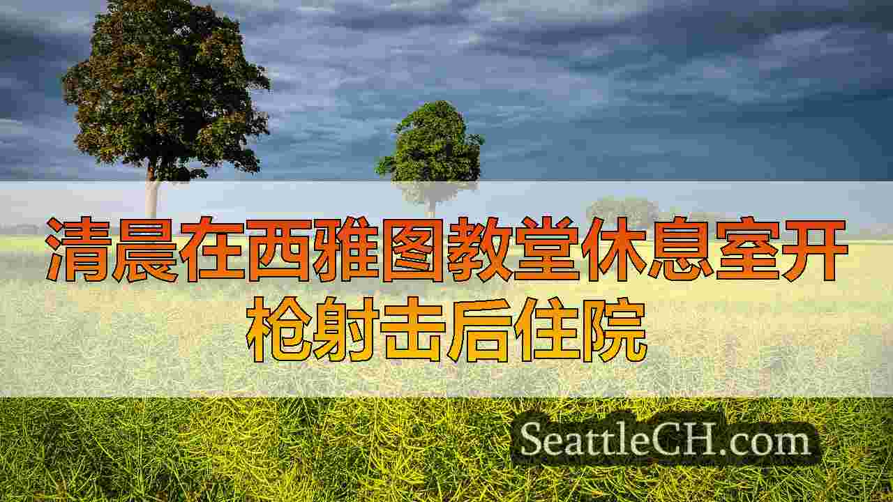 西雅图新闻 SeattleCH