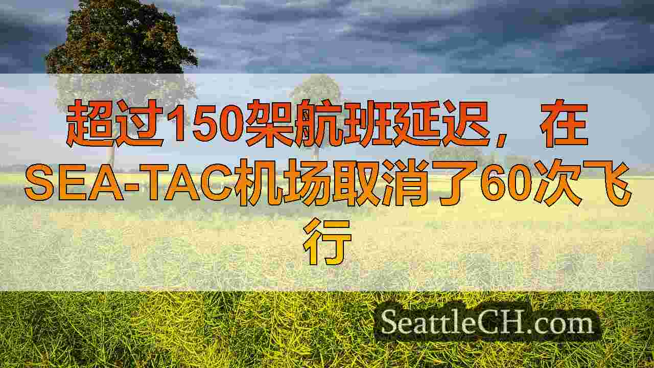 西雅图新闻 SeattleCH