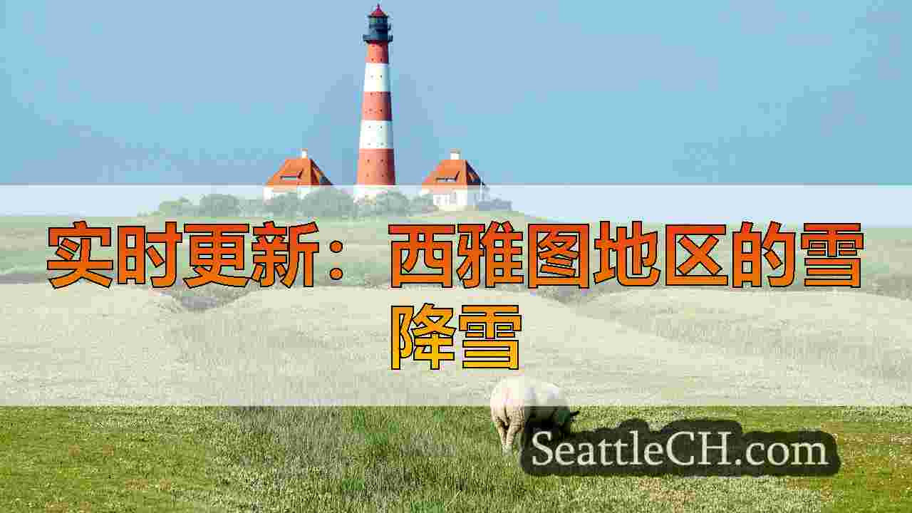 西雅图新闻 SeattleCH