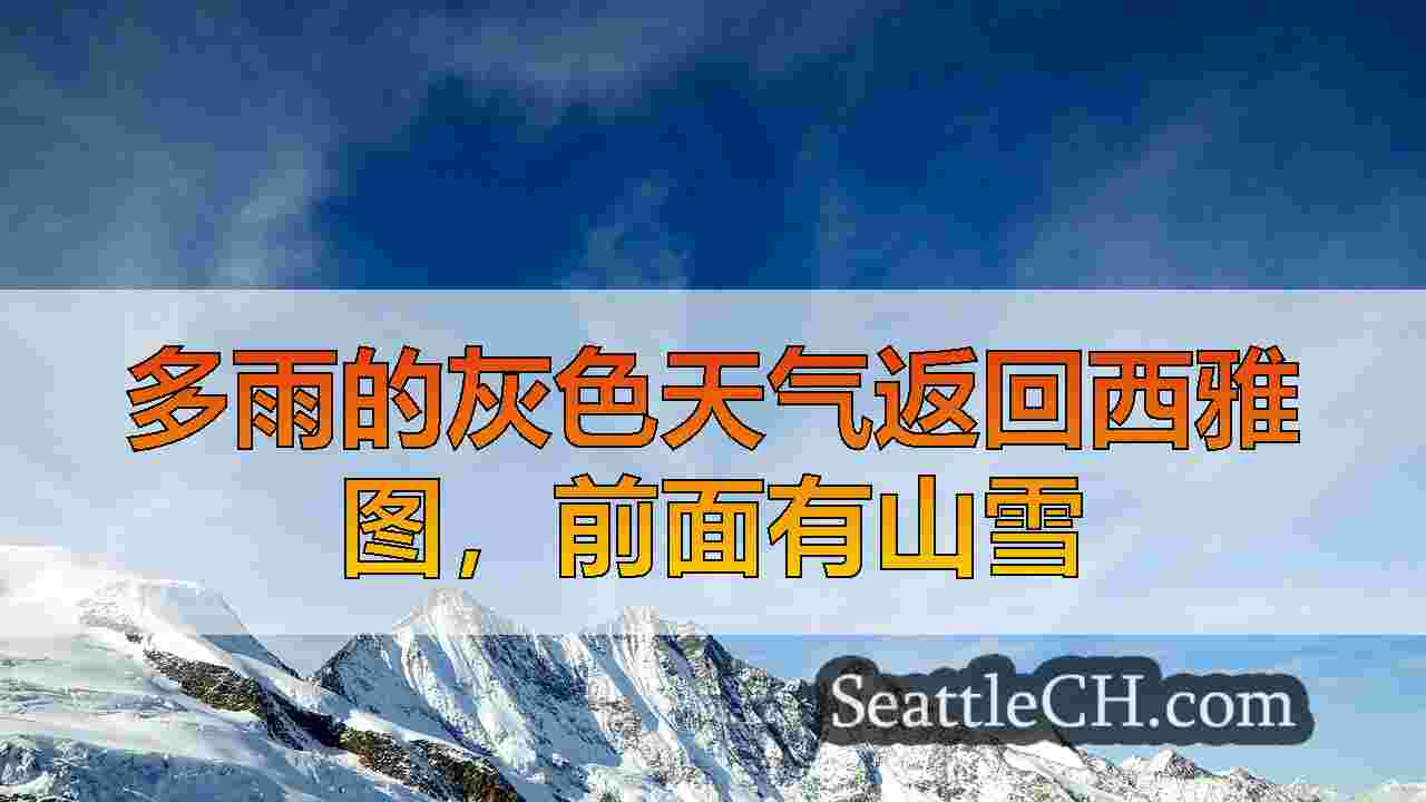 西雅图新闻 SeattleCH