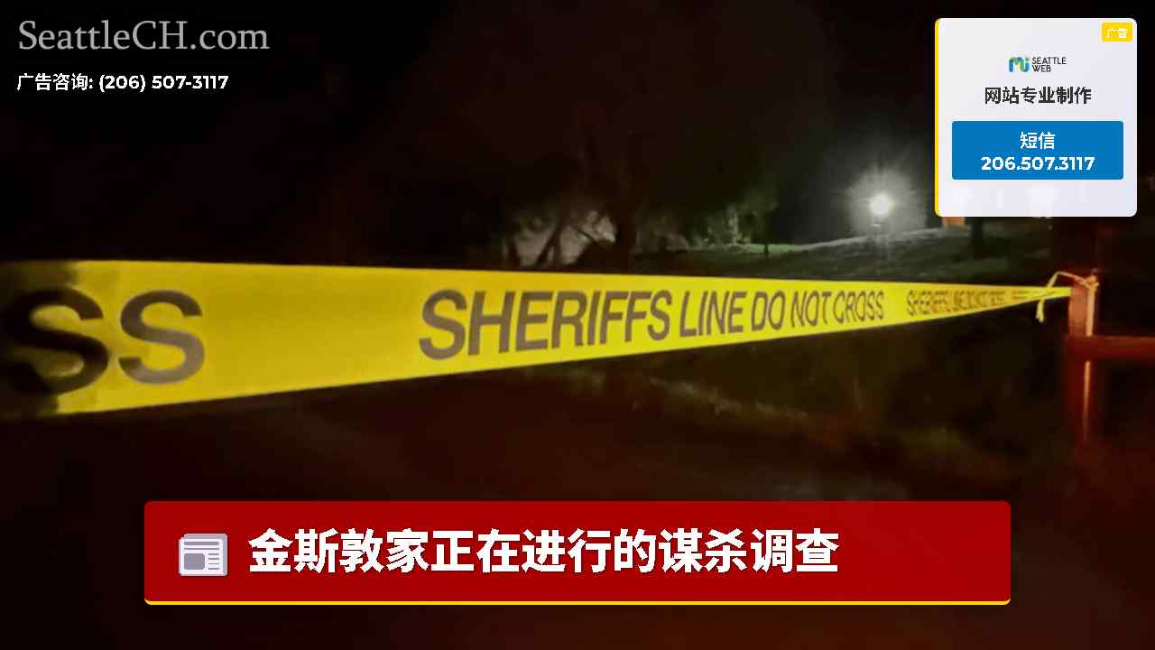金斯敦家正在进行的谋杀调查