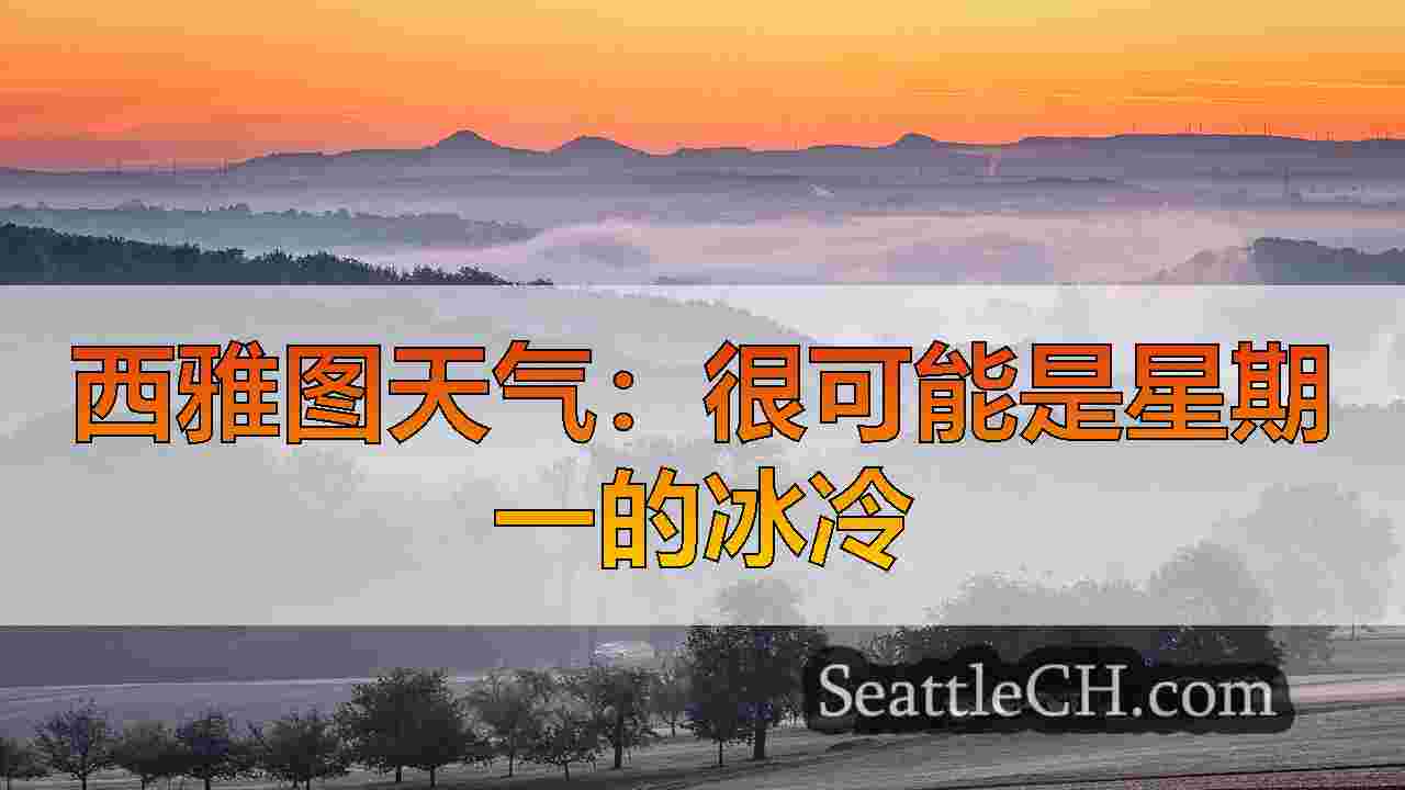 西雅图新闻 SeattleCH