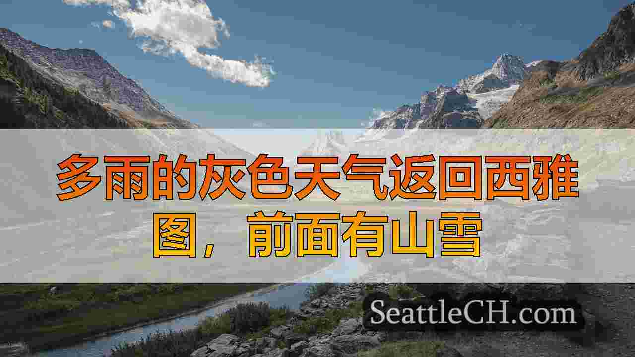 多雨的灰色天气返回西雅图，前面有山雪