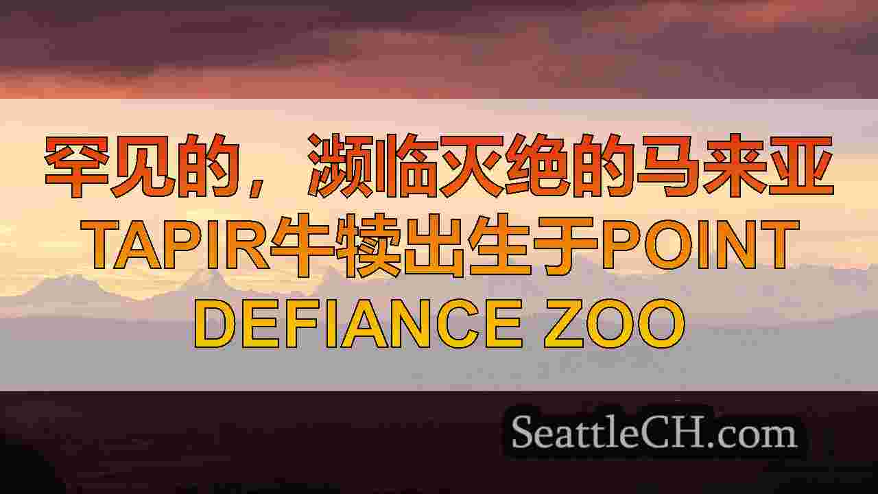 西雅图新闻 SeattleCH