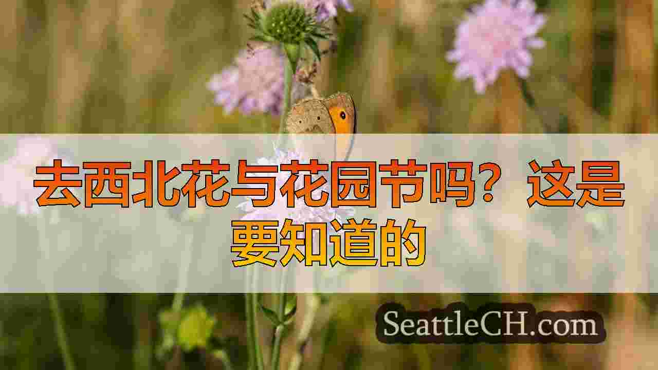 西雅图新闻 SeattleCH