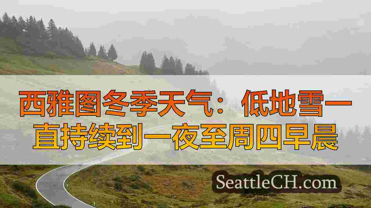 西雅图冬季天气：低地雪一直持续到一夜至周四早晨