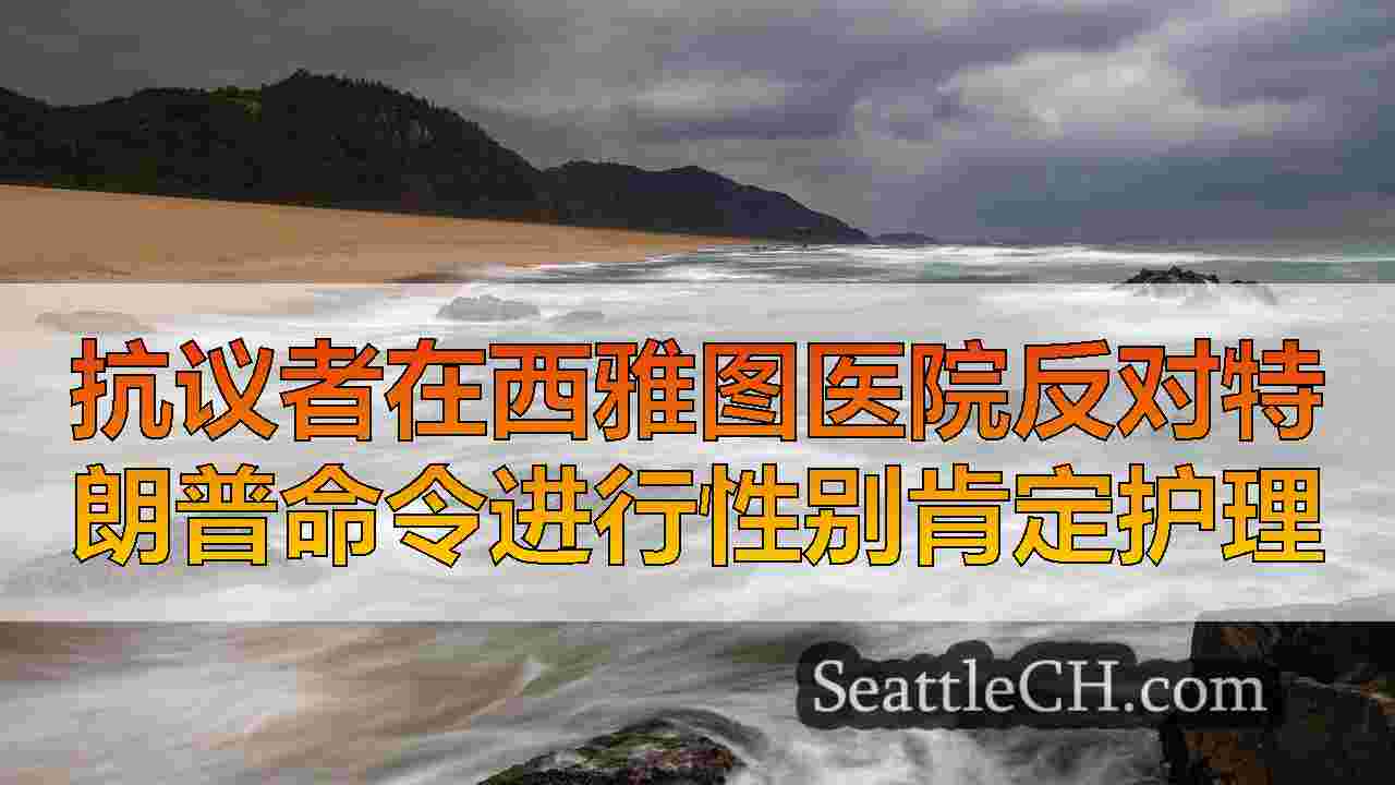 西雅图新闻 SeattleCH