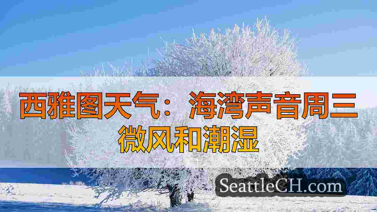 西雅图天气：海湾声音周三微风和潮湿
