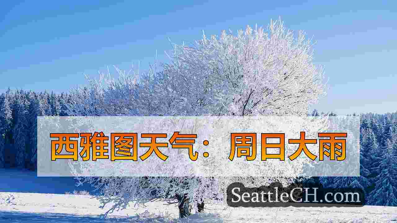 西雅图天气：周日大雨