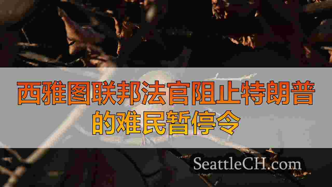 西雅图新闻 SeattleCH