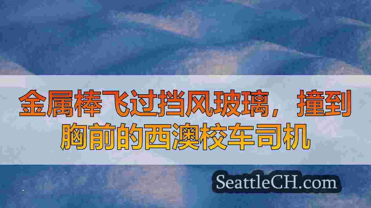 金属棒飞过挡风玻璃，撞到胸前的西澳校车司机
