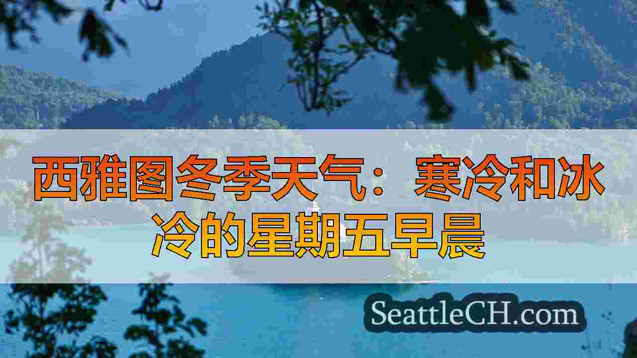 西雅图冬季天气：寒冷和冰冷的星期五早晨