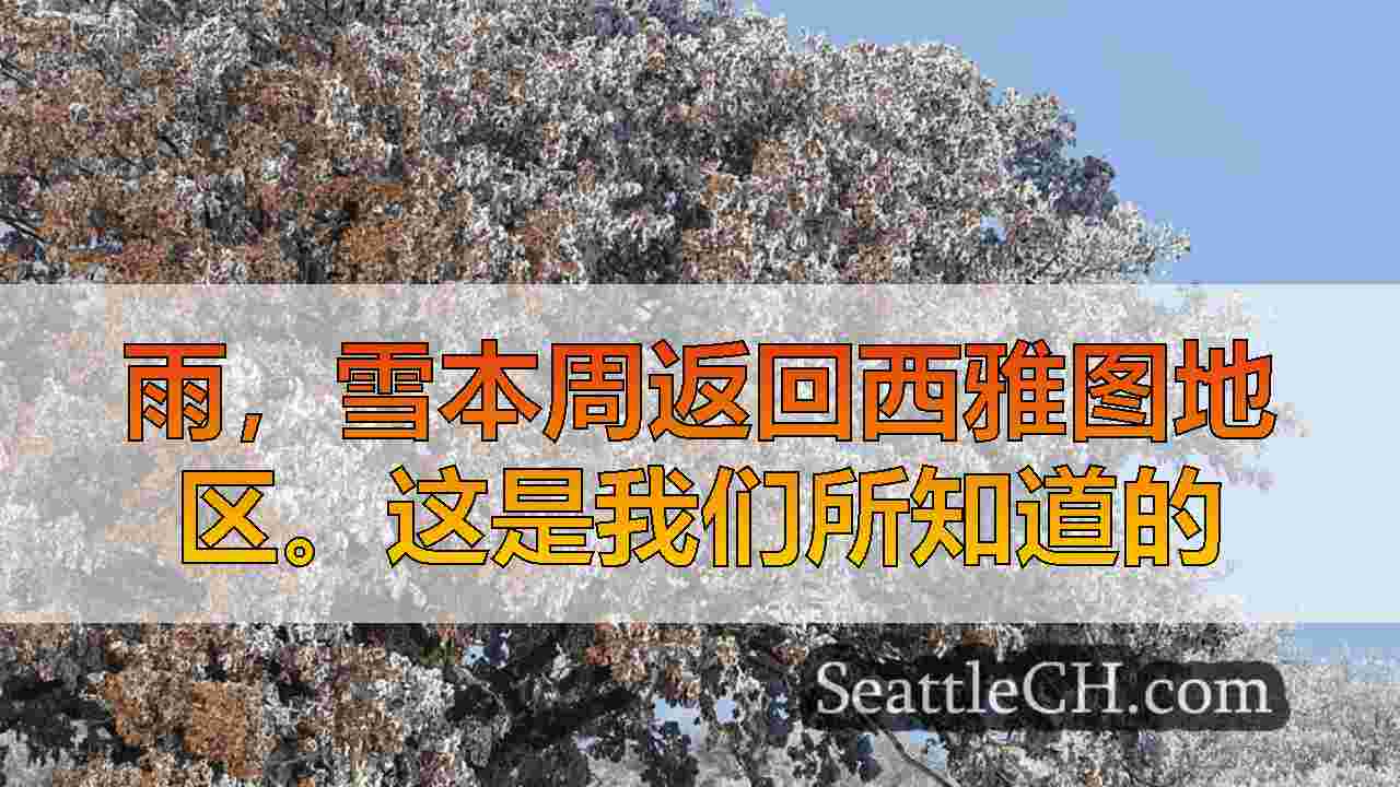 西雅图新闻 SeattleCH