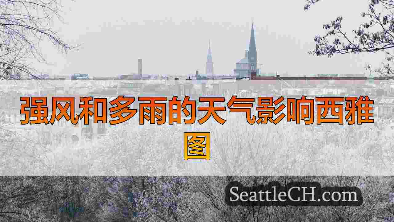 西雅图新闻 SeattleCH