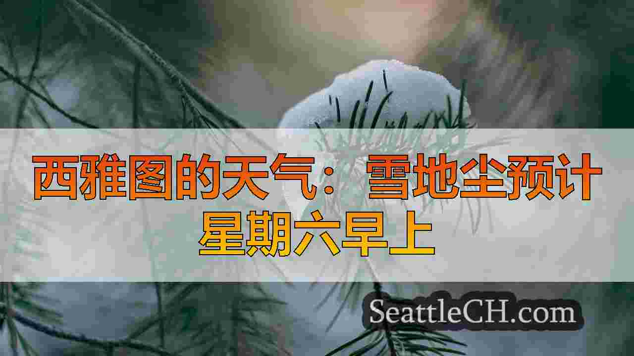 西雅图新闻 SeattleCH