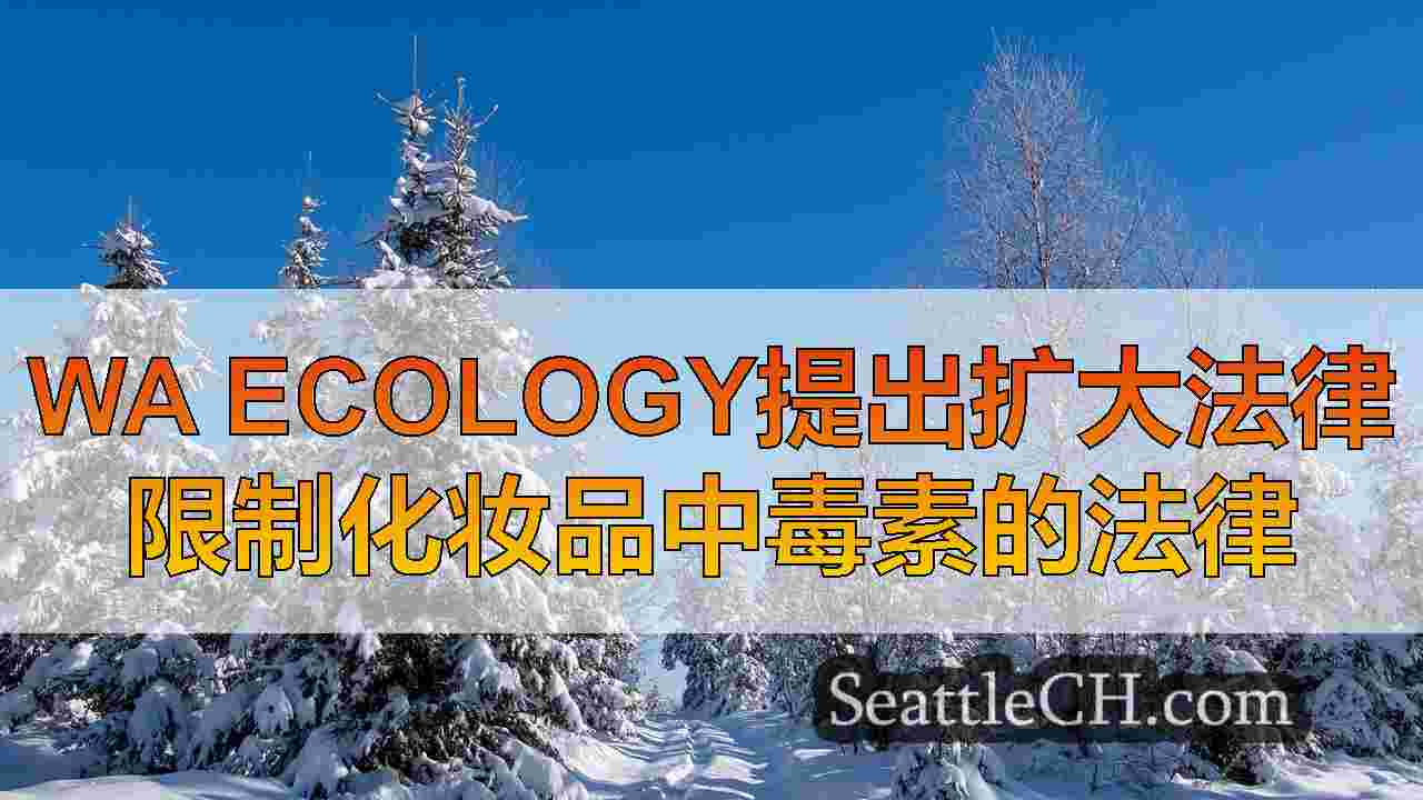 西雅图新闻 SeattleCH