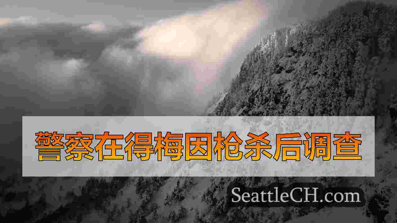 西雅图新闻 SeattleCH