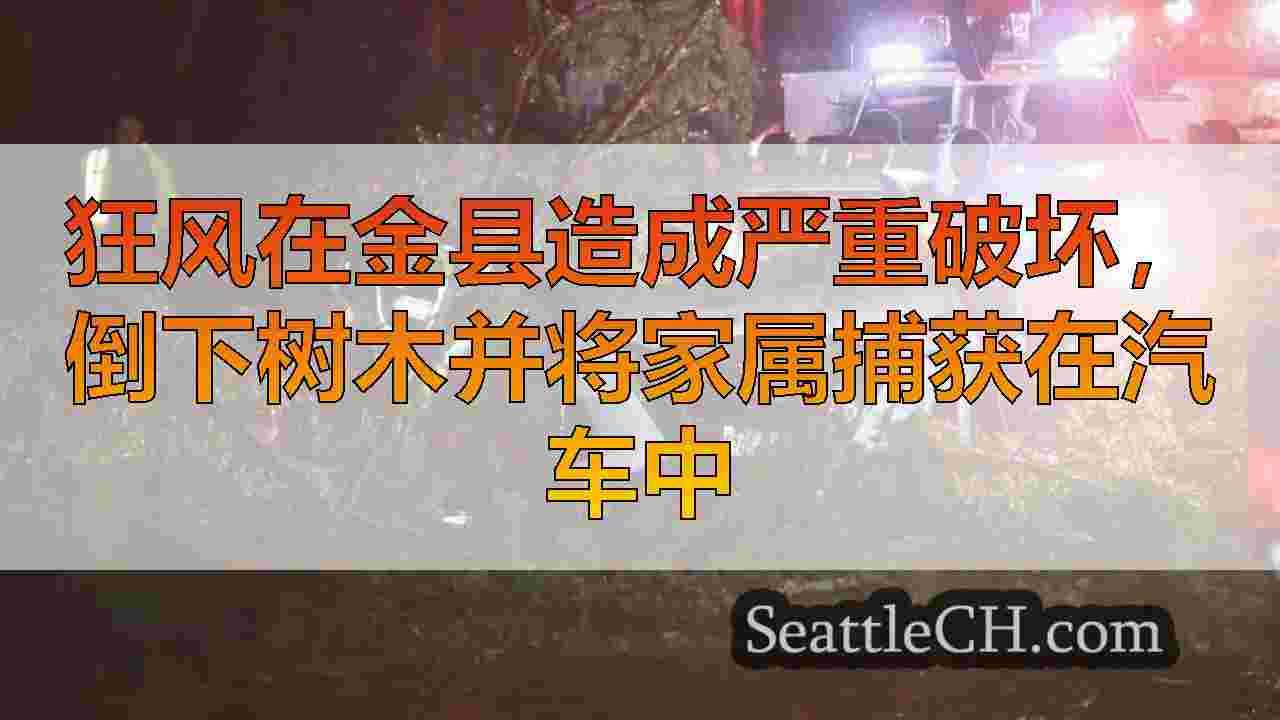 狂风在金县造成严重破坏，倒下树木并将家属捕获在汽车中