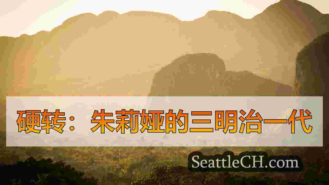 西雅图新闻 SeattleCH