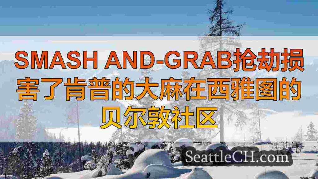 Smash and-Grab抢劫损害了肯普的大麻在西雅图的贝尔敦社区