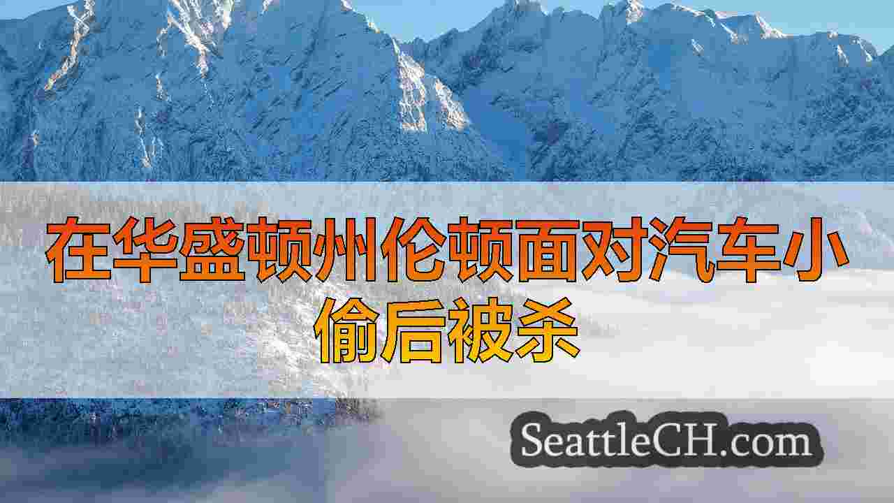 西雅图新闻 SeattleCH