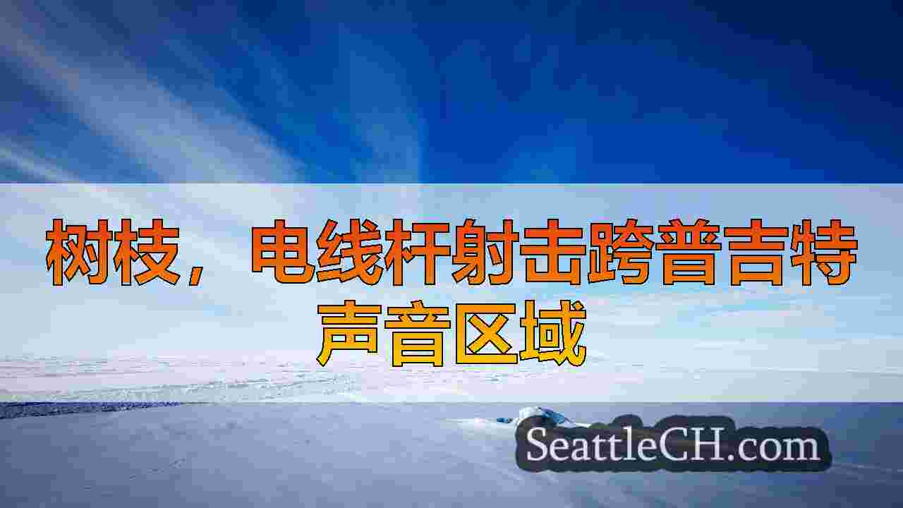 西雅图新闻 SeattleCH