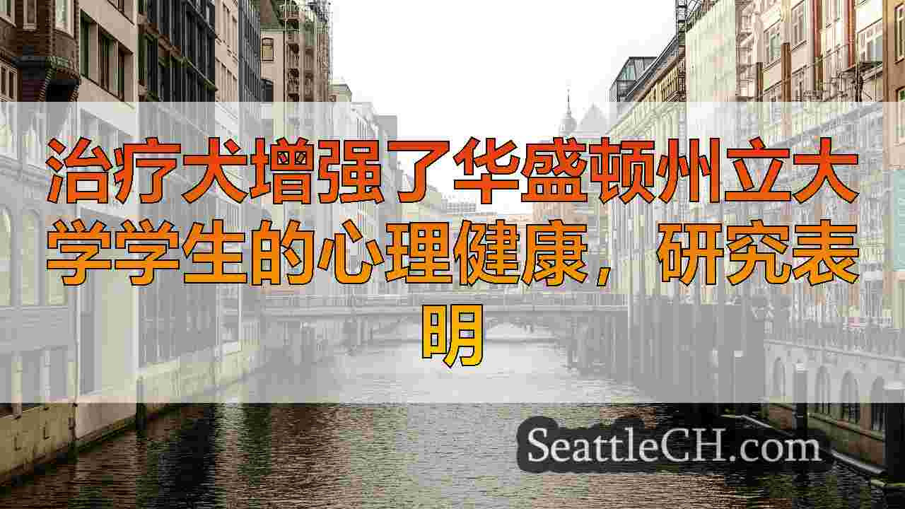 西雅图新闻 SeattleCH