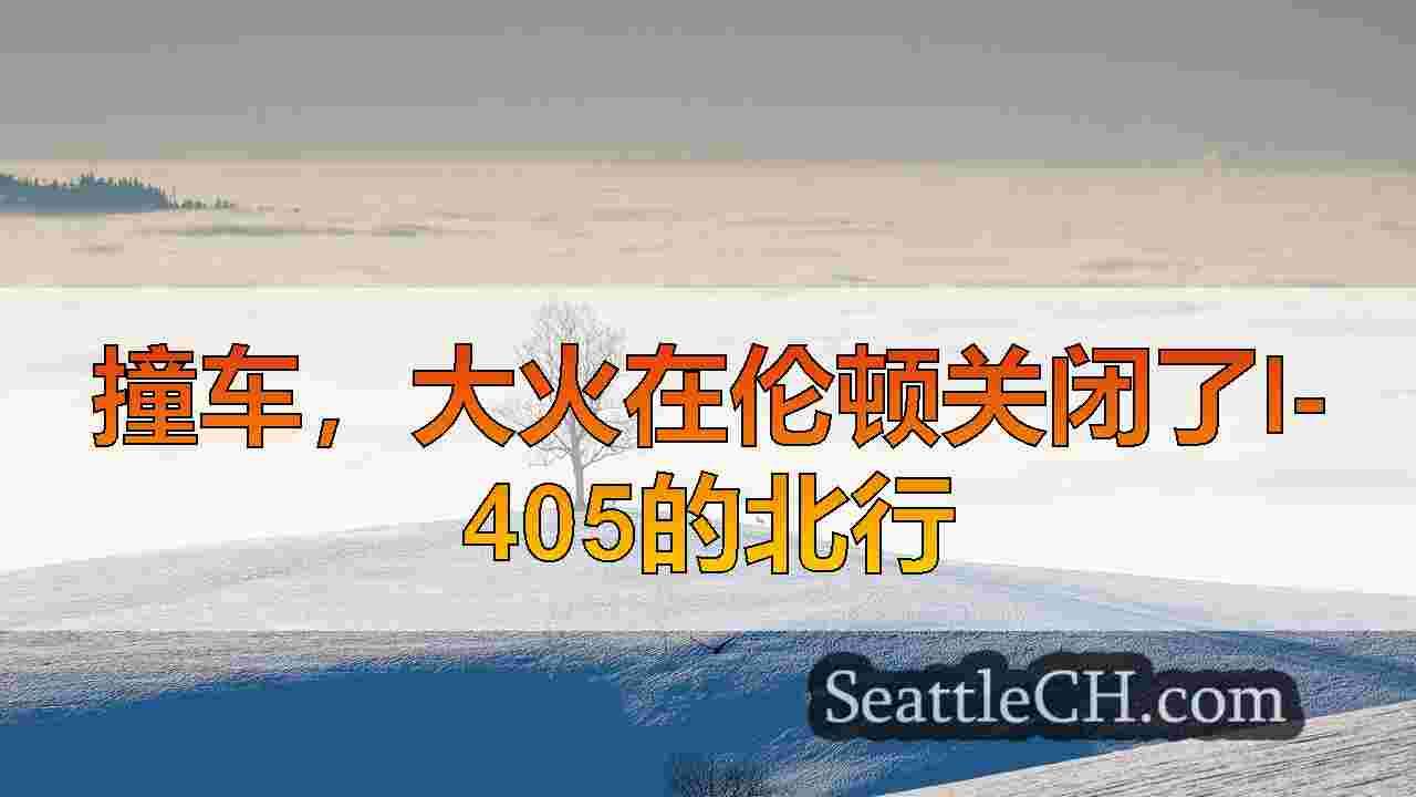 西雅图新闻 SeattleCH