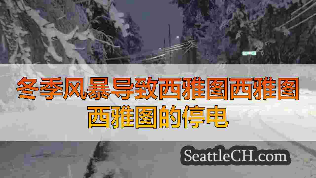 冬季风暴导致西雅图西雅图西雅图的停电