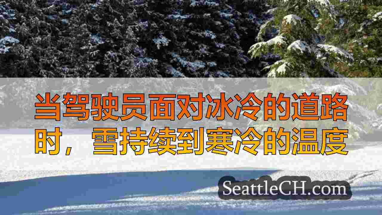 西雅图新闻 SeattleCH