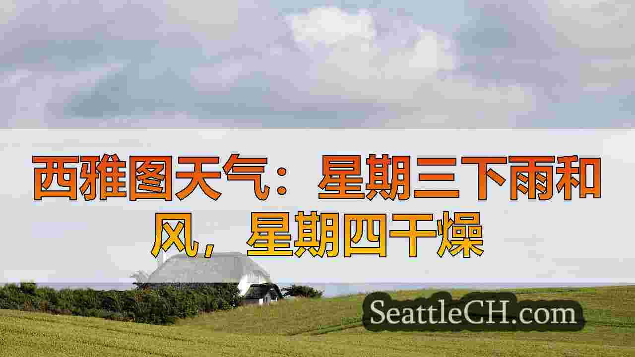 西雅图新闻 SeattleCH