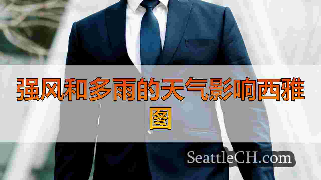 西雅图新闻 SeattleCH