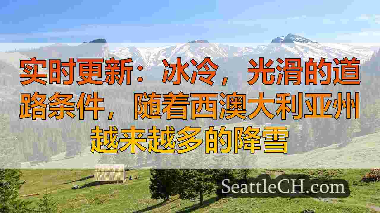 西雅图新闻 SeattleCH