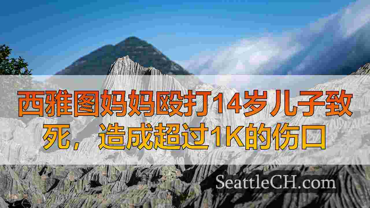 西雅图妈妈殴打14岁儿子致死，造成超过1k的伤口